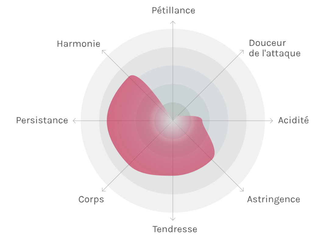 Spinnennetz-Chart