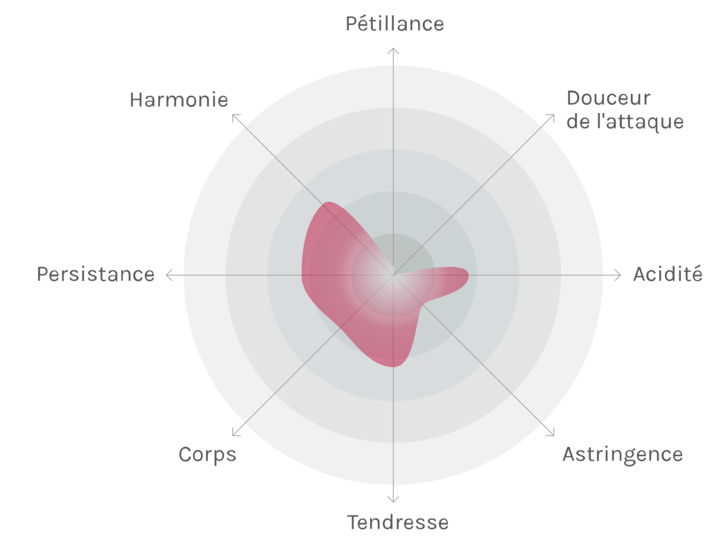 Spinnennetz-Chart