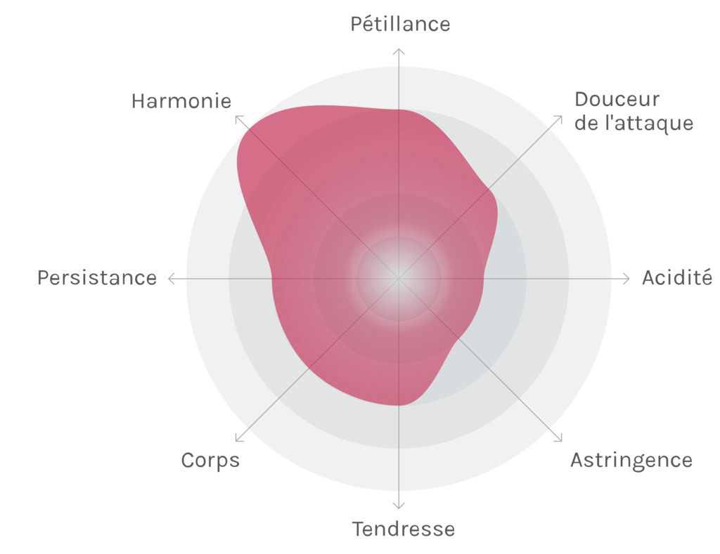 Spinnennetz-Chart