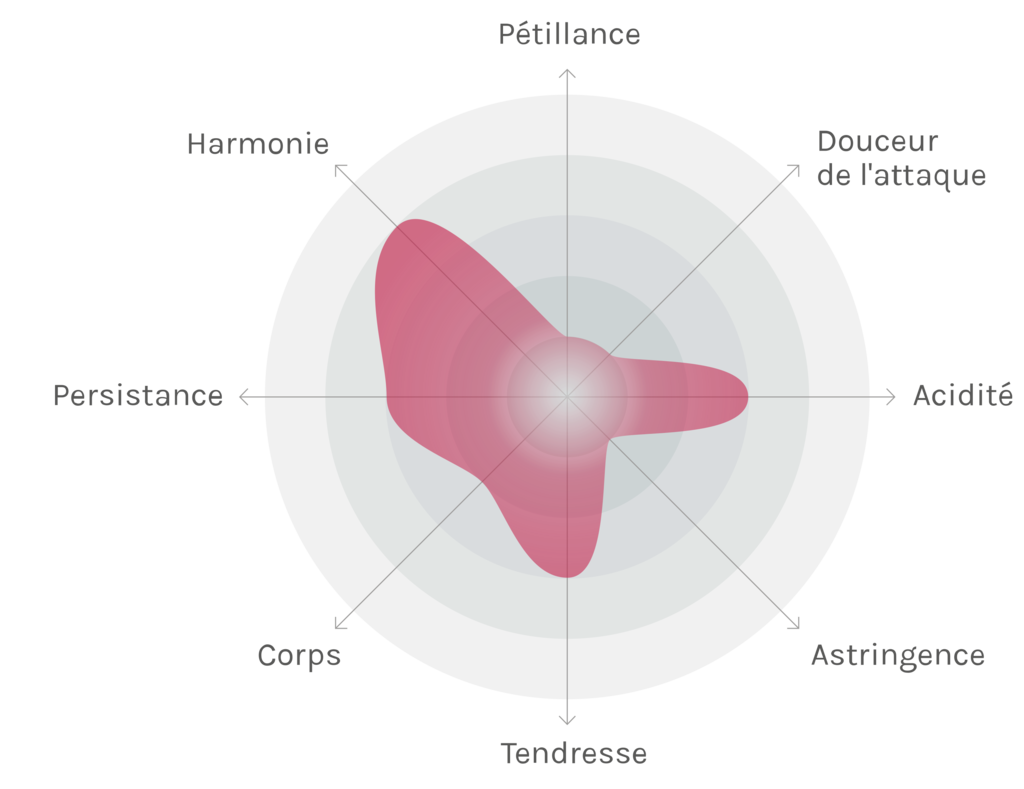 Spinnennetz-Chart