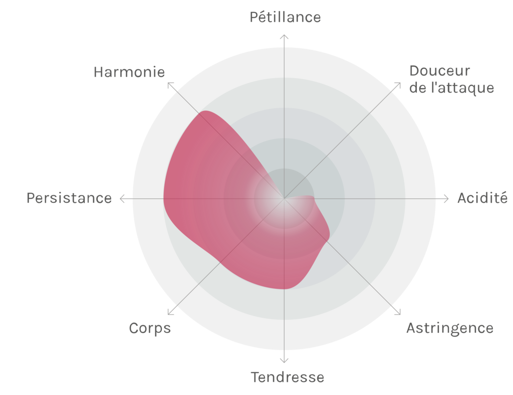 Spinnennetz-Chart