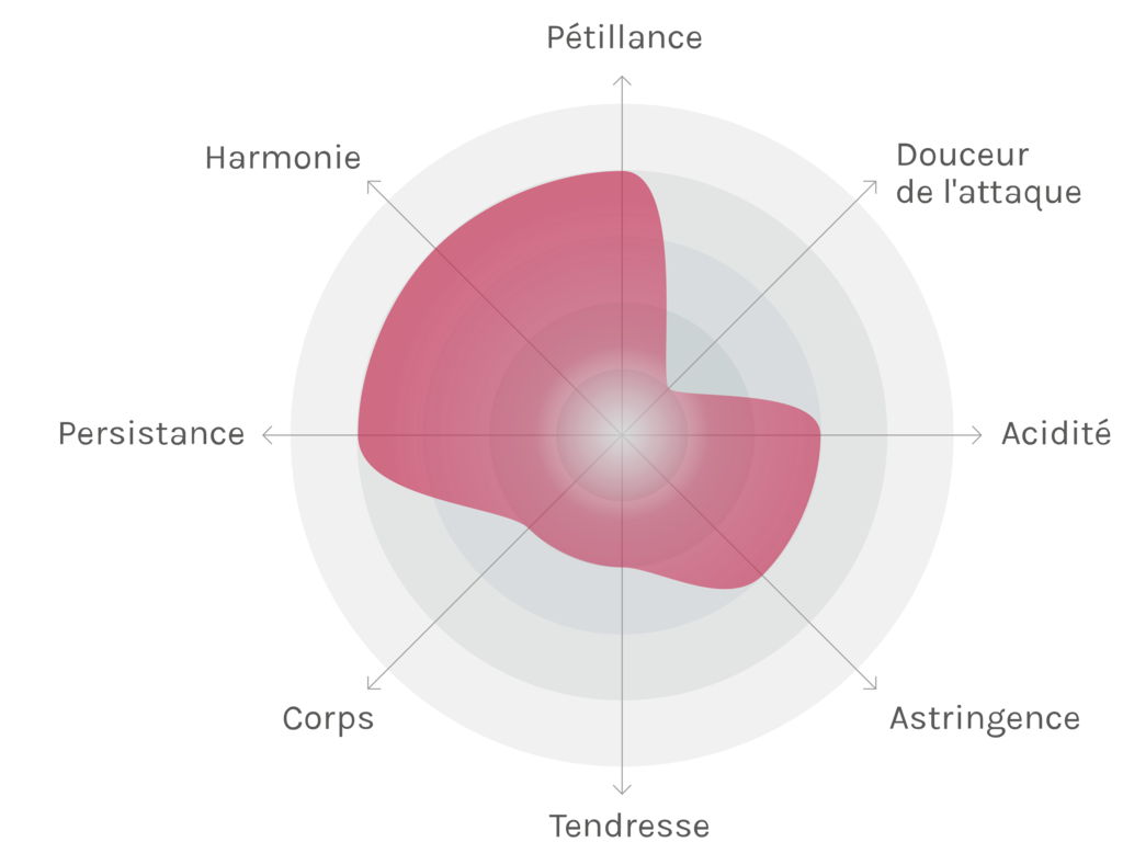 Spinnennetz-Chart