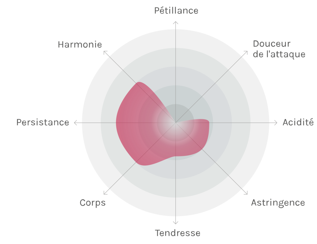 Spinnennetz-Chart