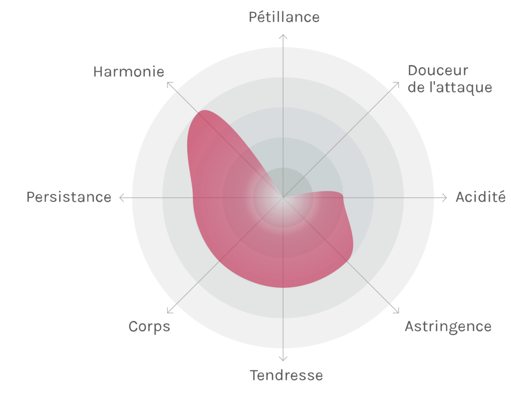 Spinnennetz-Chart