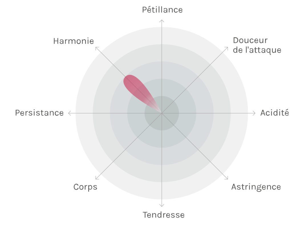 Spinnennetz-Chart