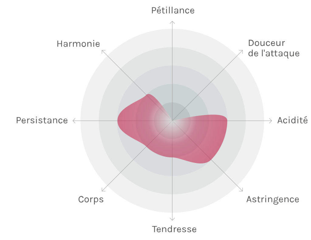 Spinnennetz-Chart