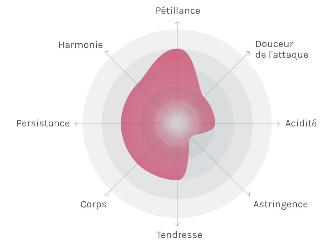 Spinnennetz-Chart