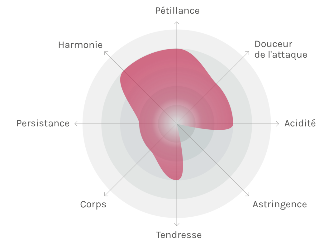 Spinnennetz-Chart