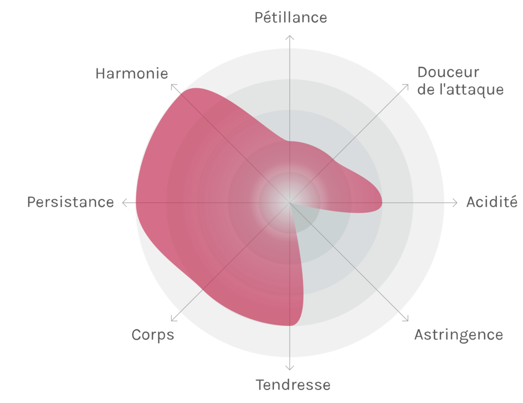 Spinnennetz-Chart