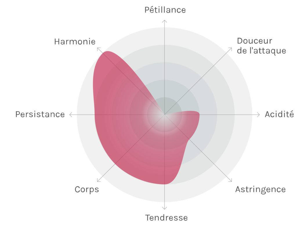 Spinnennetz-Chart