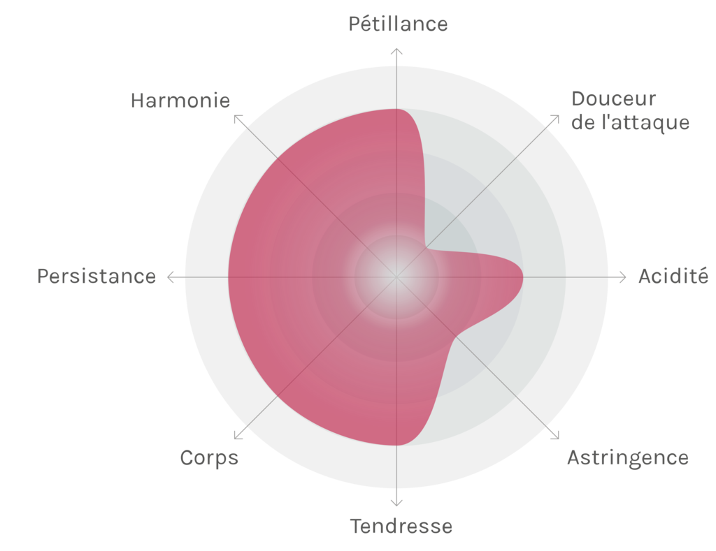 Spinnennetz-Chart