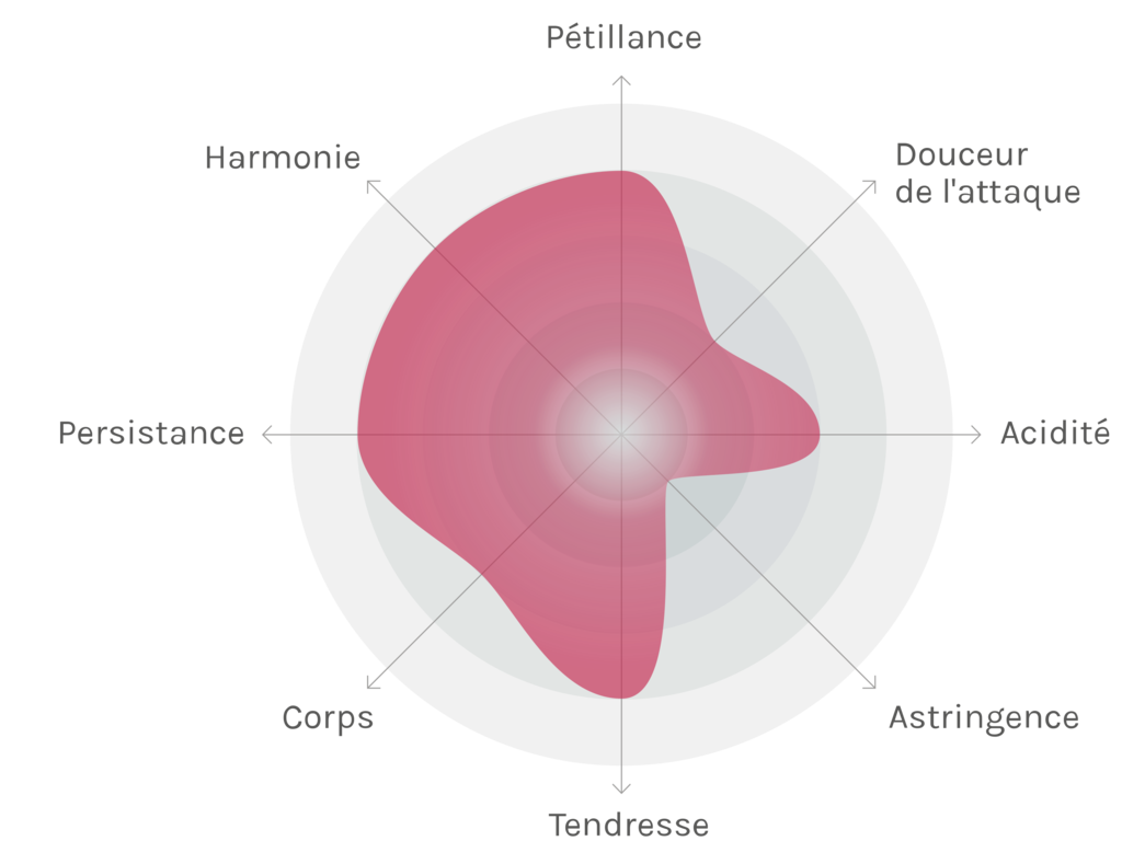 Spinnennetz-Chart