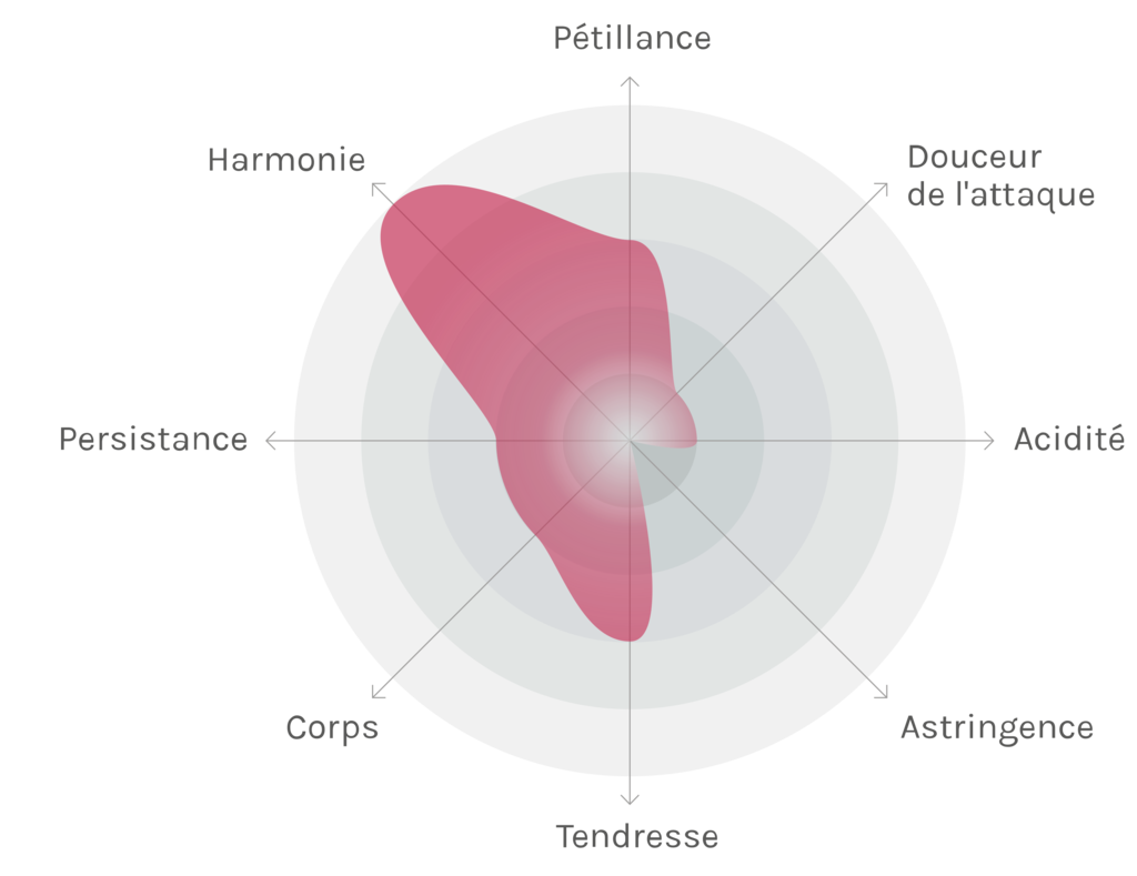 Spinnennetz-Chart