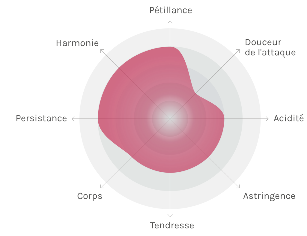 Spinnennetz-Chart