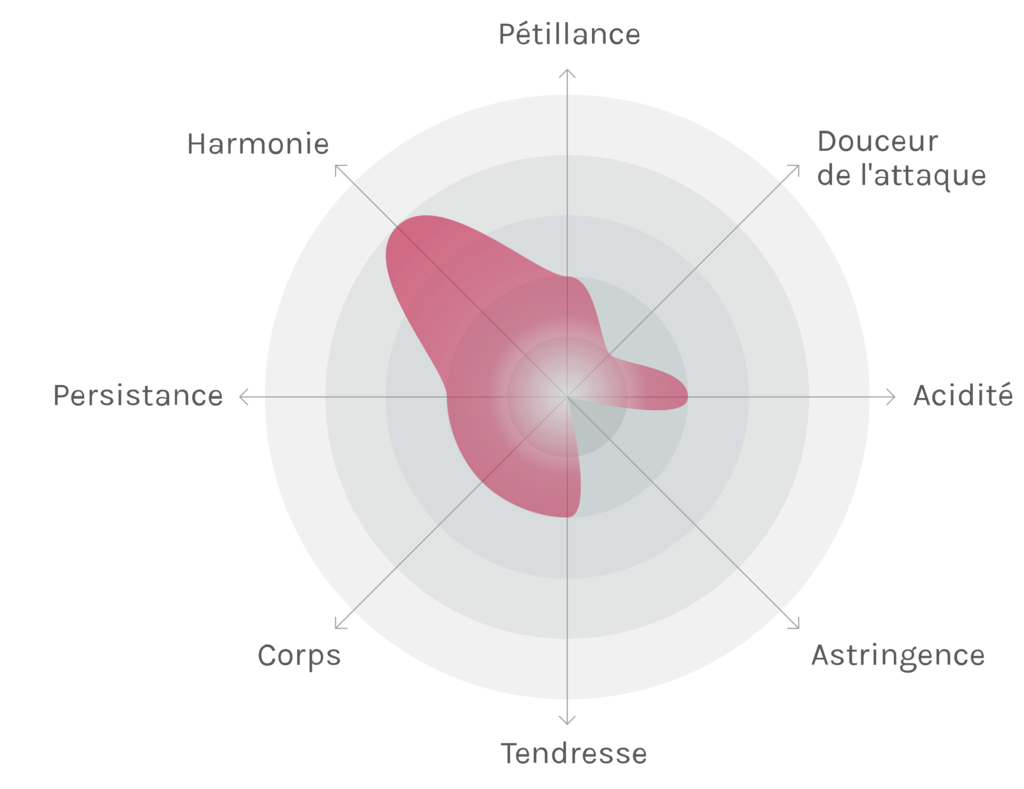 Spinnennetz-Chart