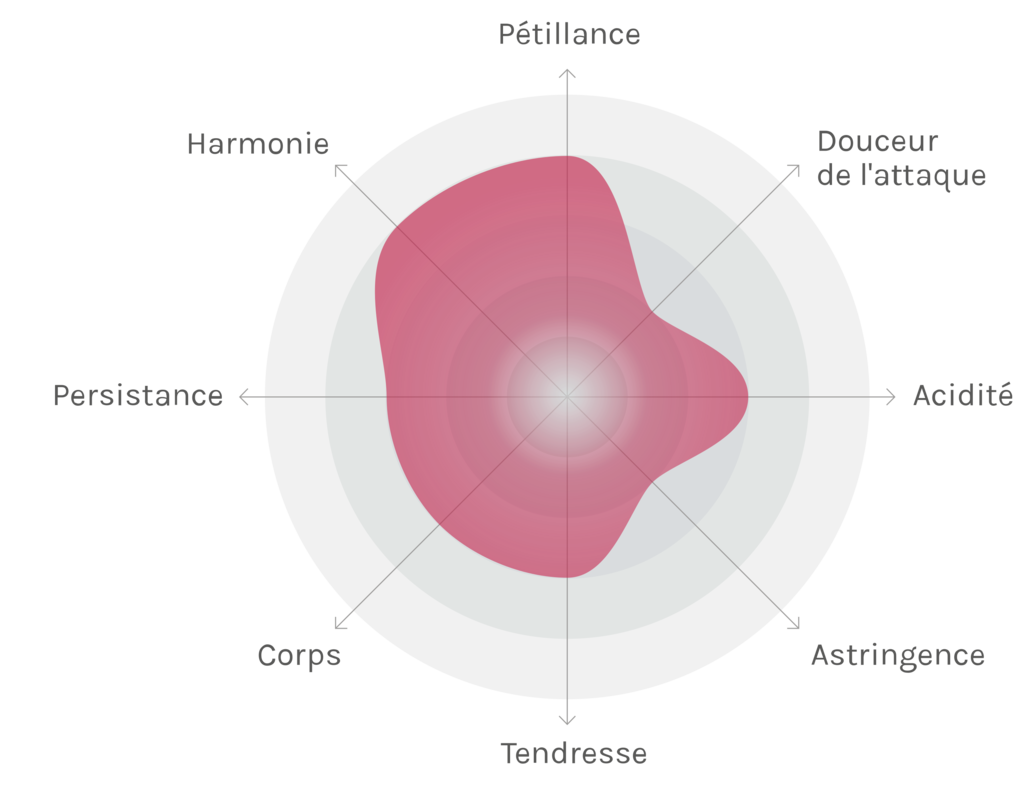 Spinnennetz-Chart