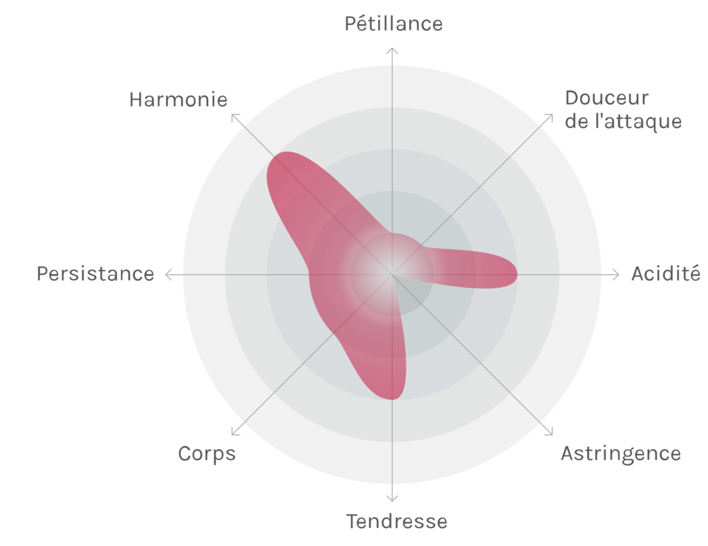 Spinnennetz-Chart