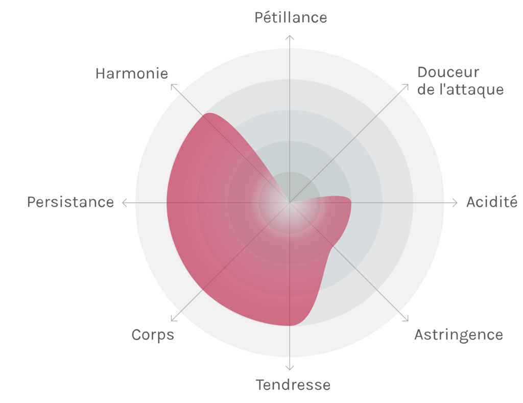 Spinnennetz-Chart