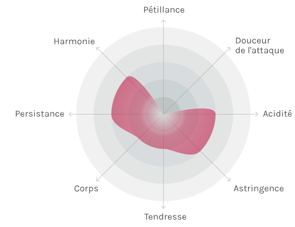 Spinnennetz-Chart