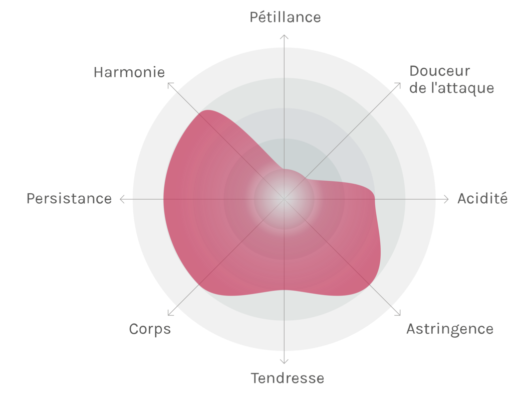 Spinnennetz-Chart