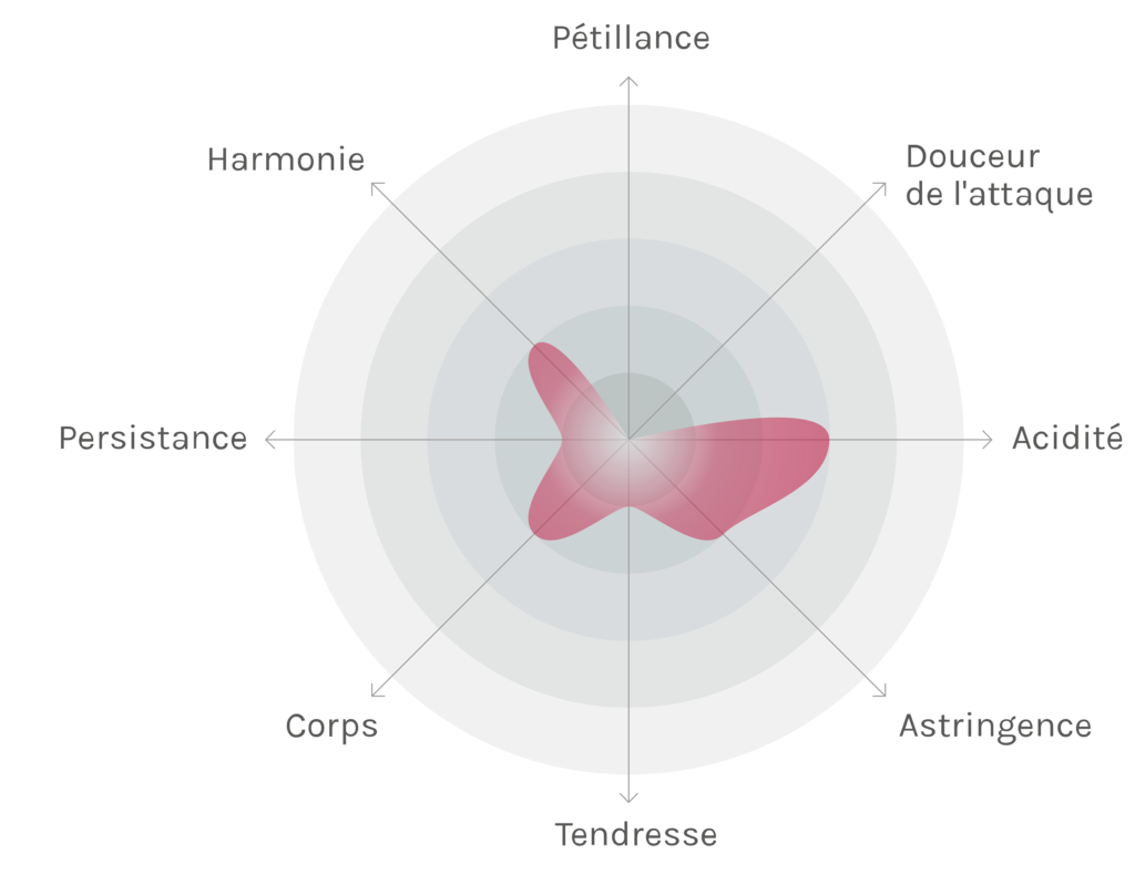 Spinnennetz-Chart