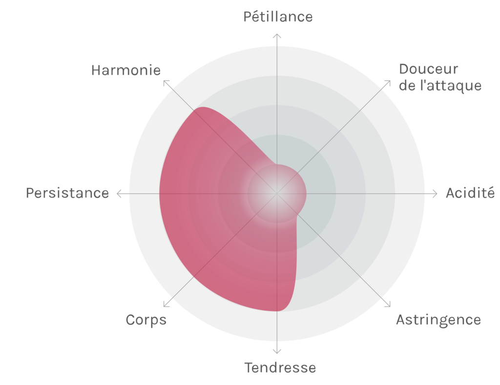 Spinnennetz-Chart