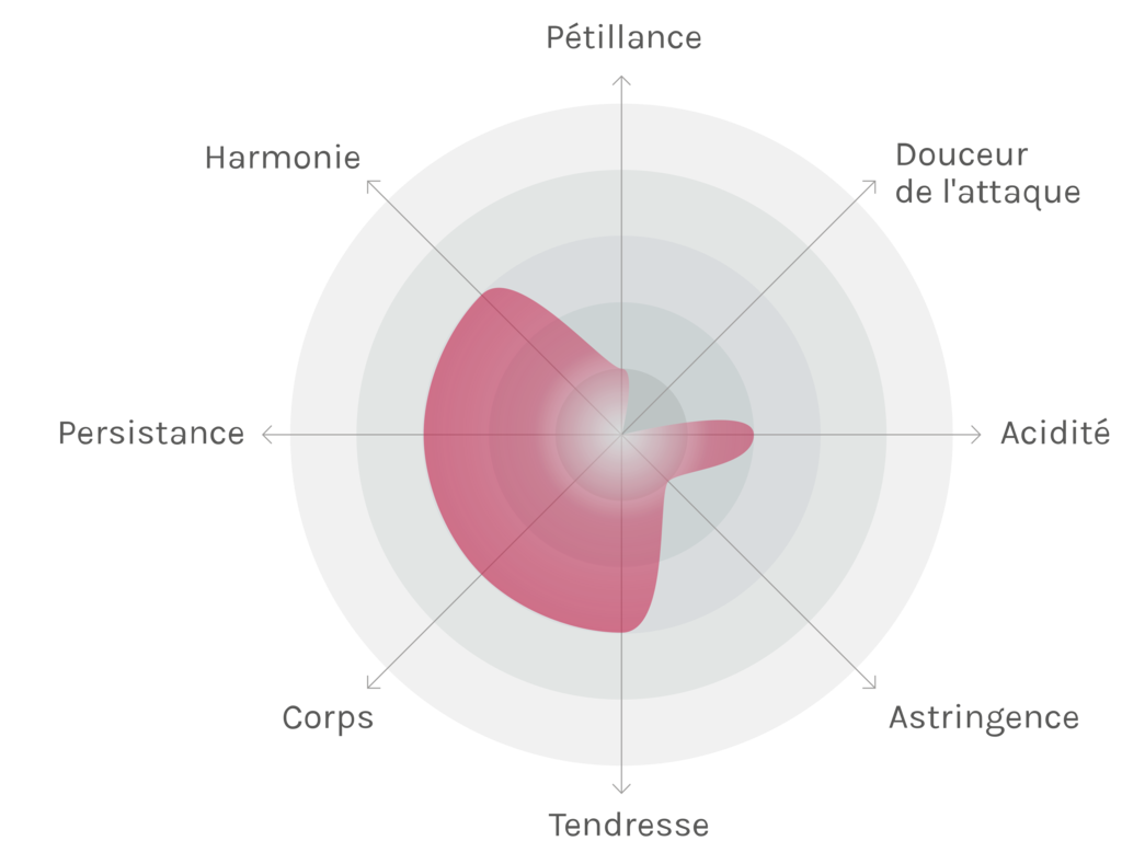 Spinnennetz-Chart