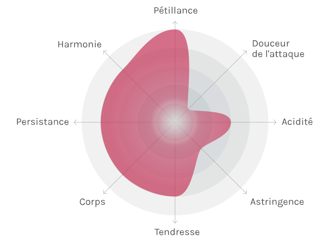 Spinnennetz-Chart