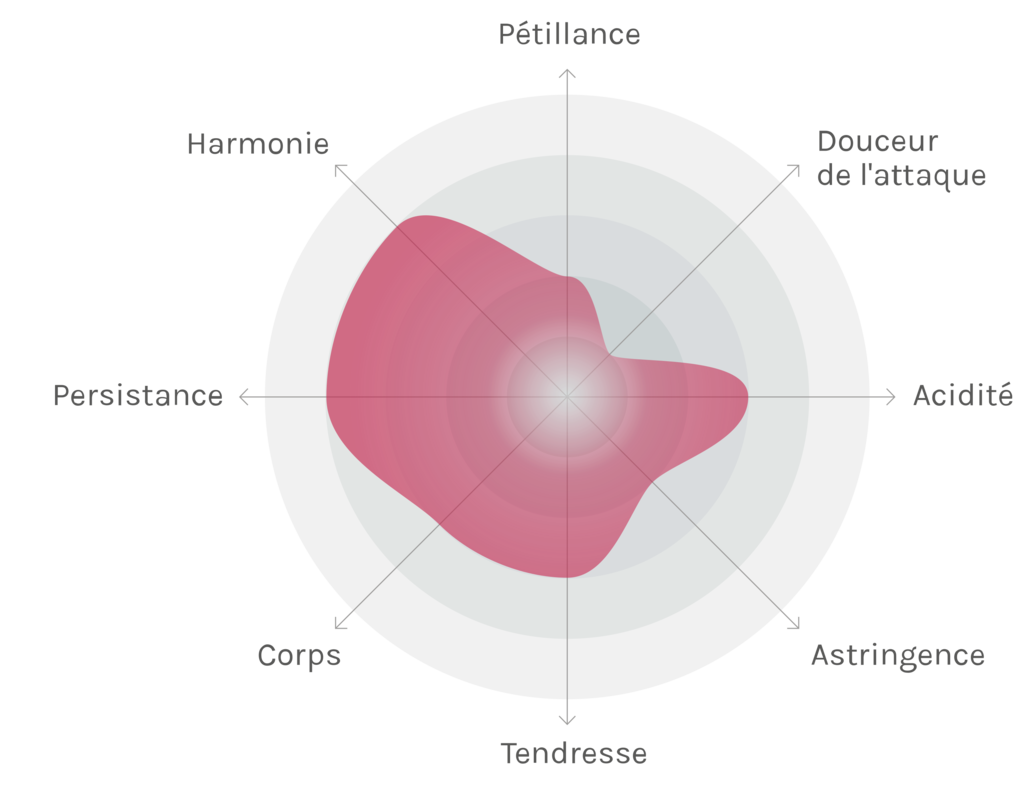 Spinnennetz-Chart