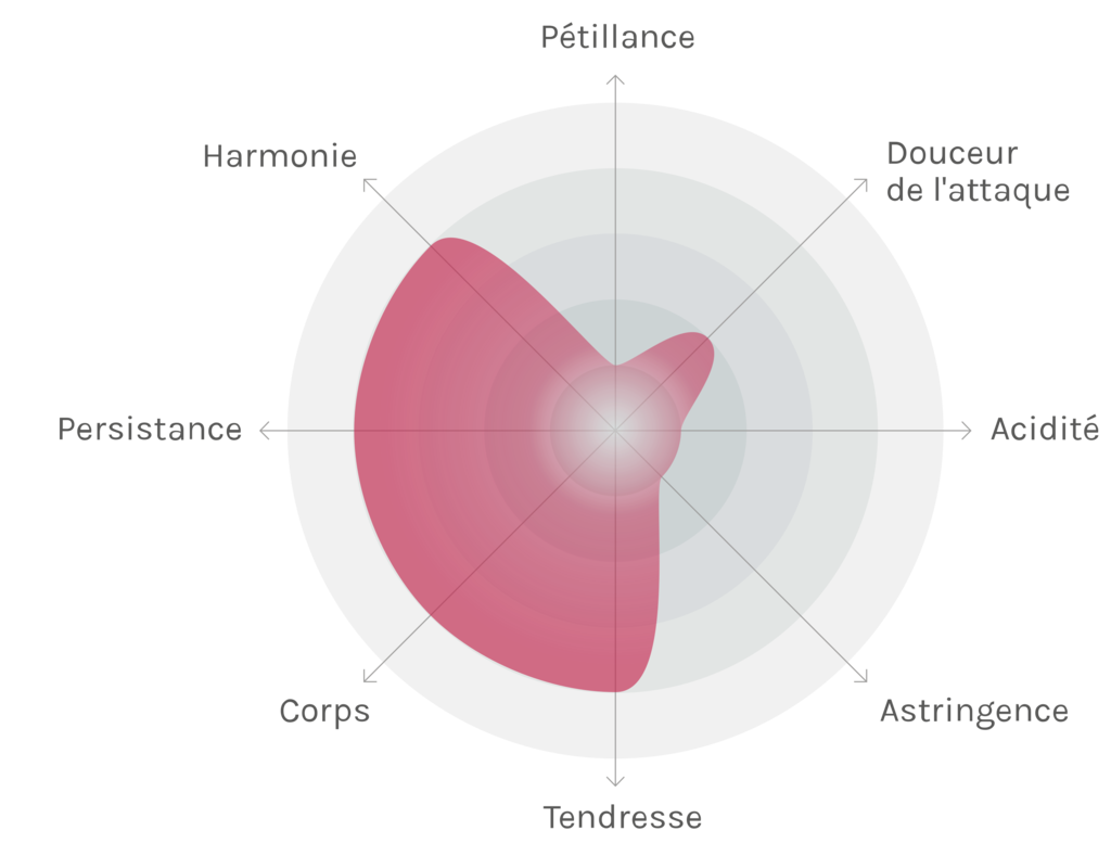 Spinnennetz-Chart