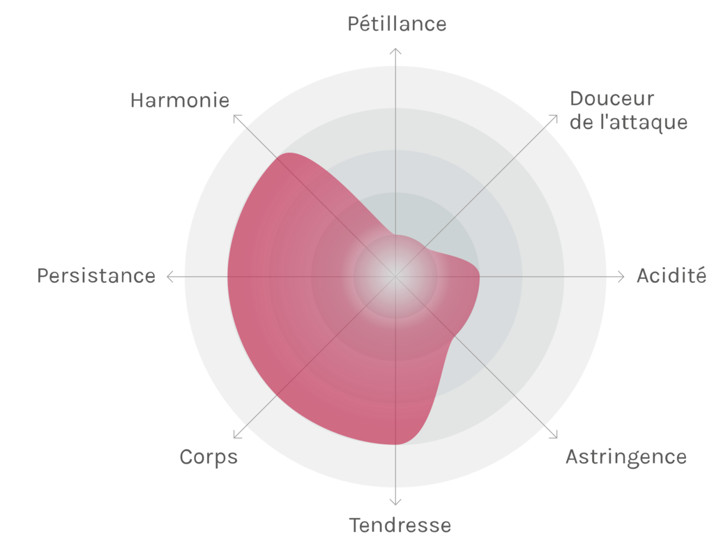 Spinnennetz-Chart