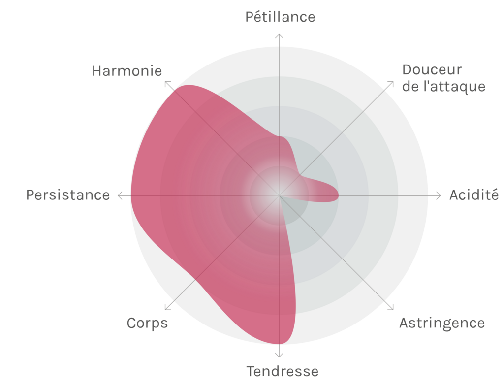 Spinnennetz-Chart