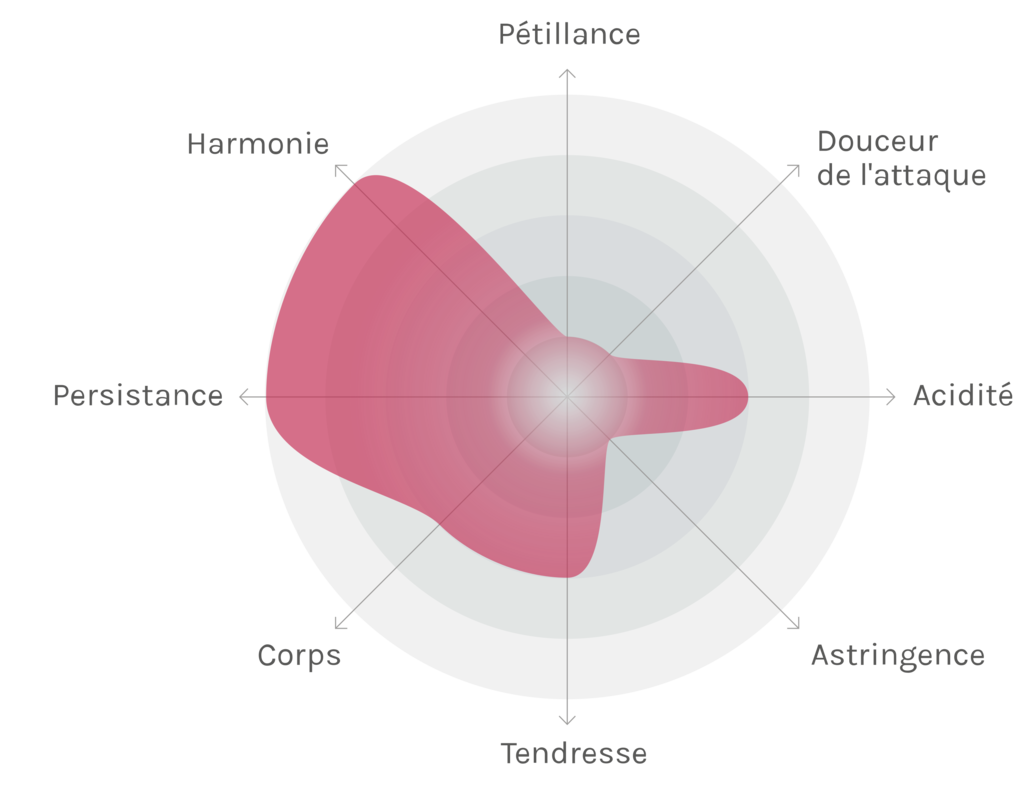 Spinnennetz-Chart