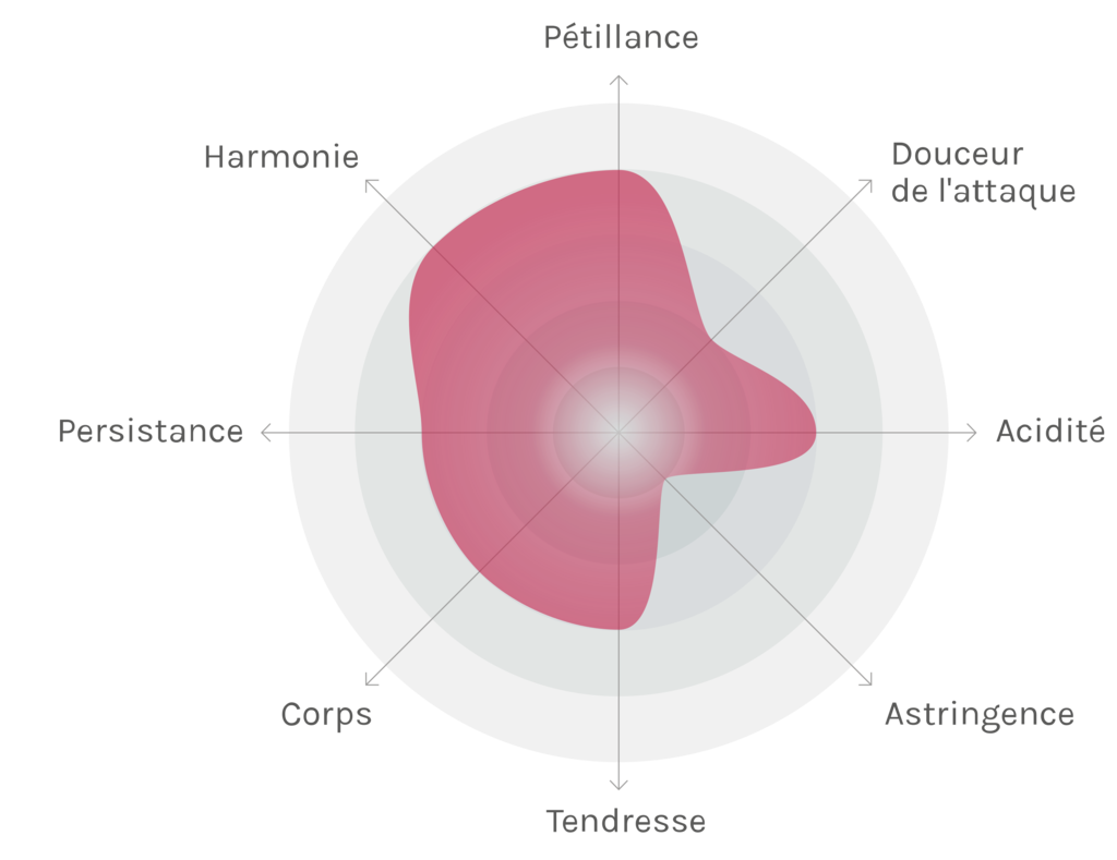 Spinnennetz-Chart