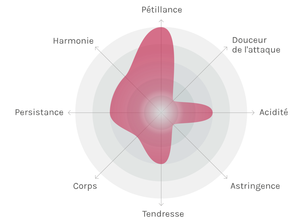 Spinnennetz-Chart