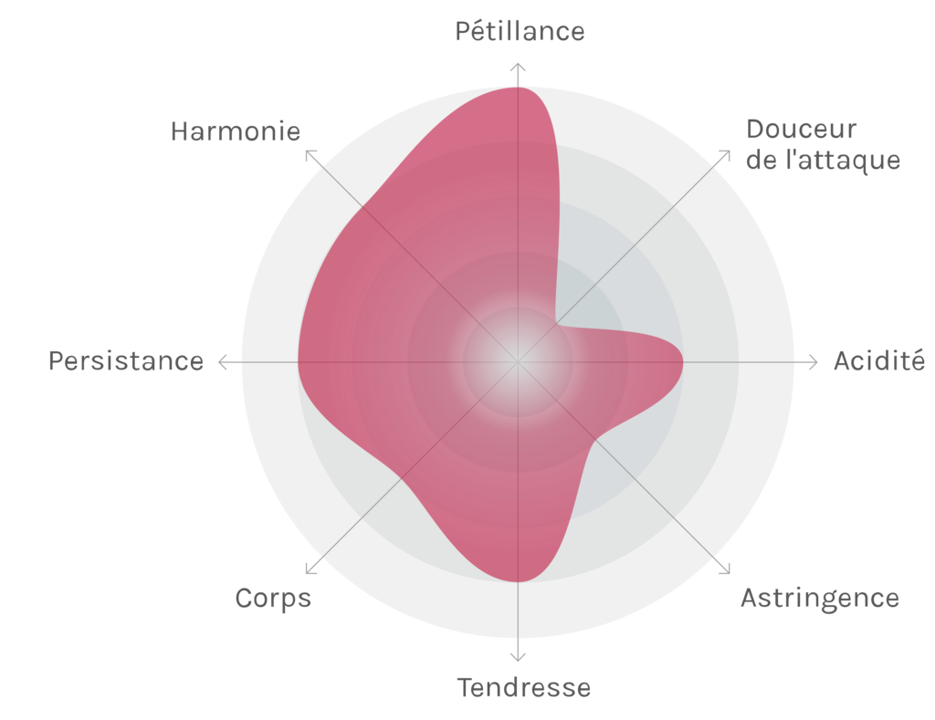 Spinnennetz-Chart