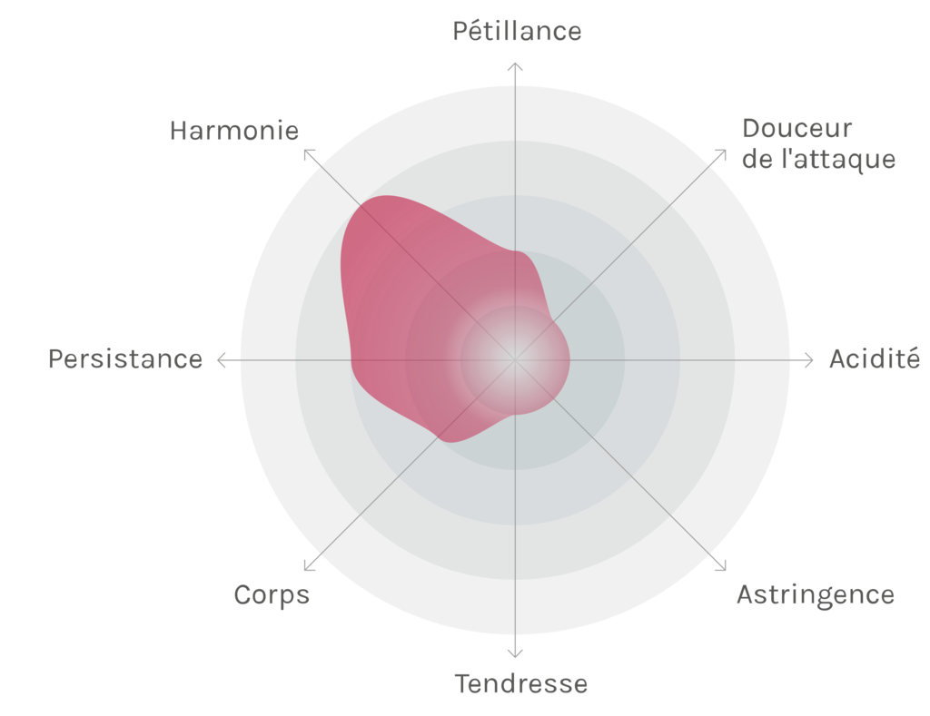 Spinnennetz-Chart