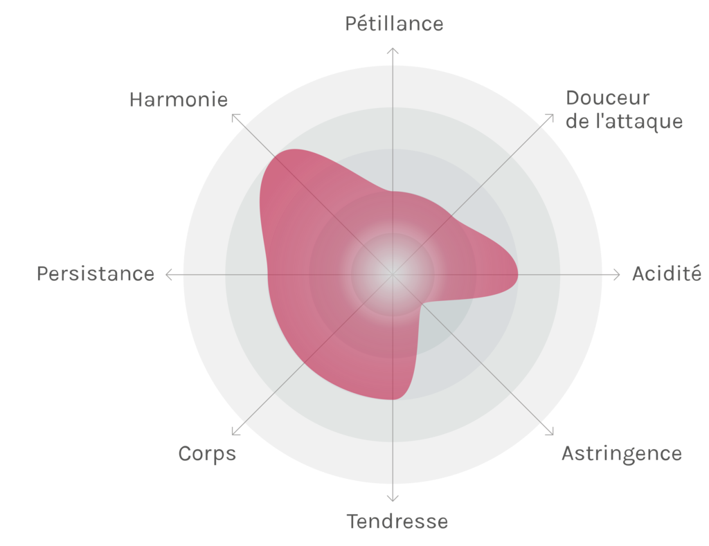 Spinnennetz-Chart